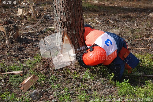 Image of wood-cutter