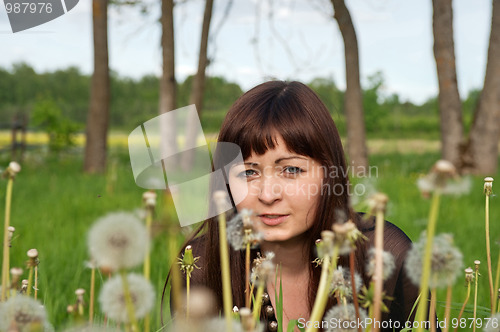 Image of Beauty girl in meadow.