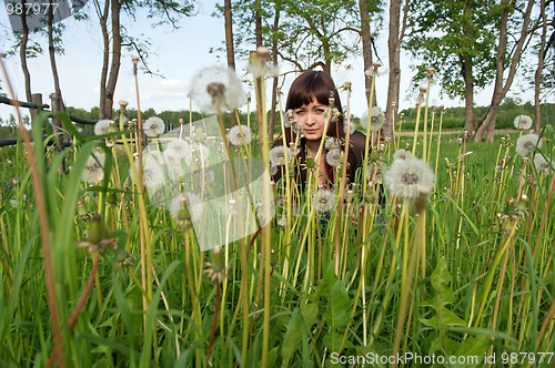 Image of Beauty girl in meadow.