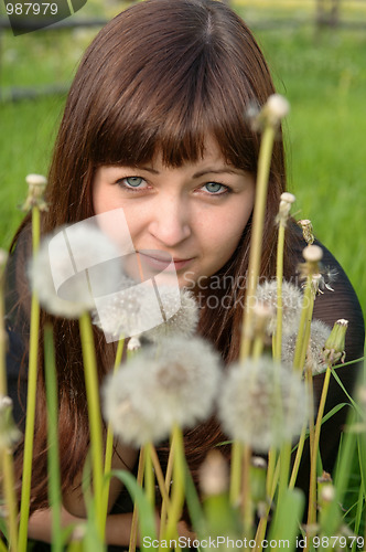 Image of Portrait of beauty girl with dandelions.