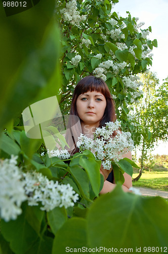 Image of Beauty girl in lilac.