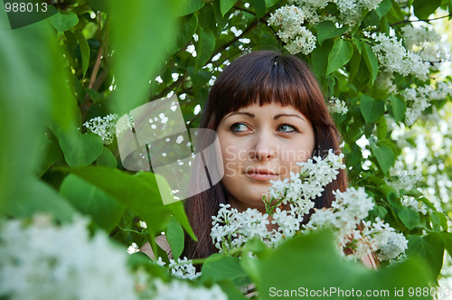 Image of Beauty girl in lilac.