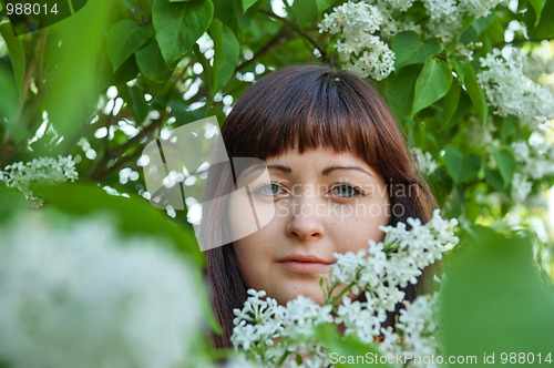 Image of Beauty girl in lilac.