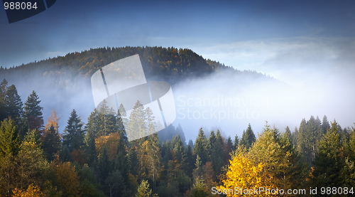Image of nebel