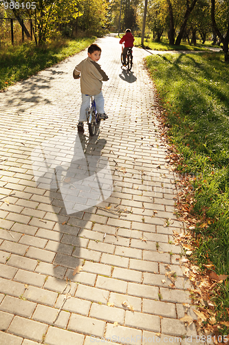 Image of Boys riding bicycles