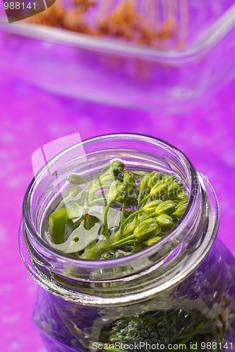 Image of Broccoli in jar