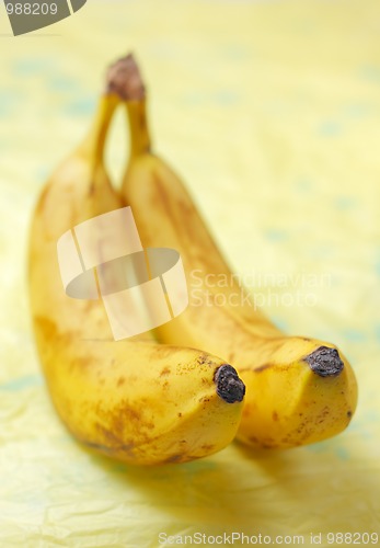 Image of Two bananas