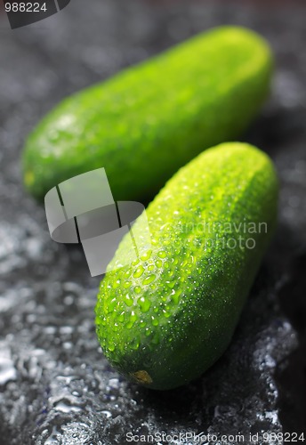 Image of Two fresh cucumbers
