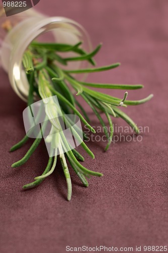 Image of Still life with lavender sprout