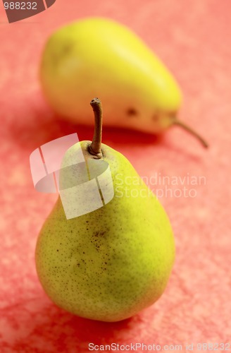 Image of Two pears