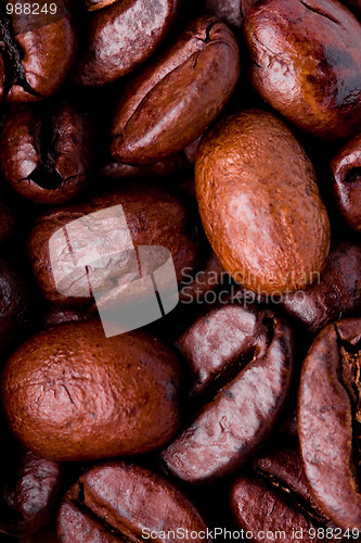 Image of fried coffee beans