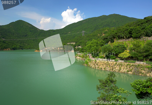 Image of lake in forest