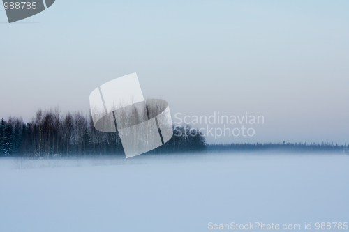 Image of Foggy winter