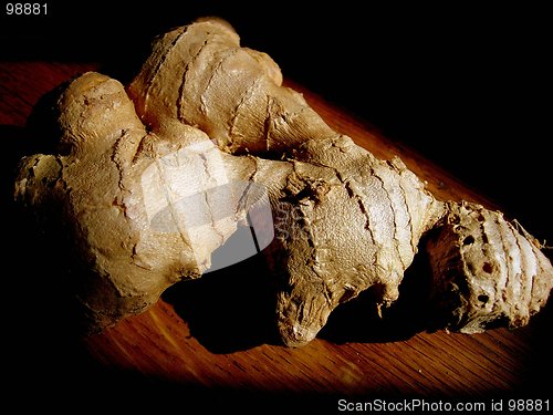 Image of Ginger