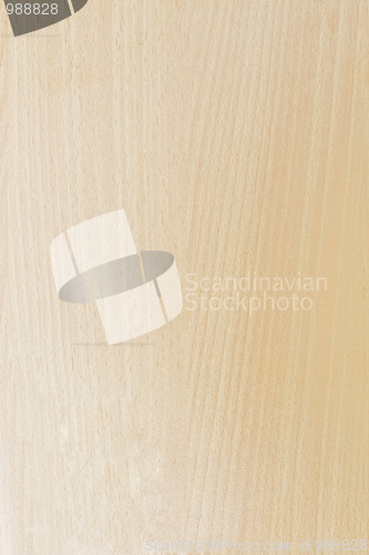 Image of Texture of wood background closeup 