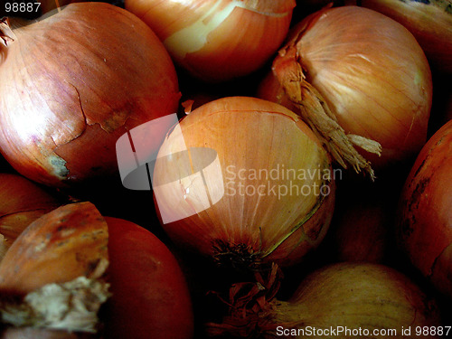 Image of Onions