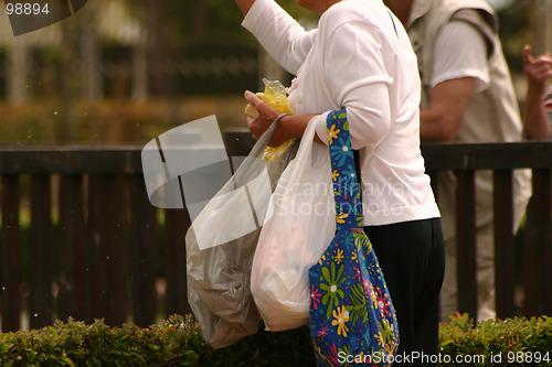 Image of woman feeding the birds