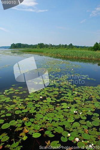 Image of Beutyful lakes and forests of Uusimaa region in Finland