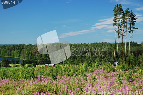 Image of Countryside in Hankasalmi Municipality of Central Finland