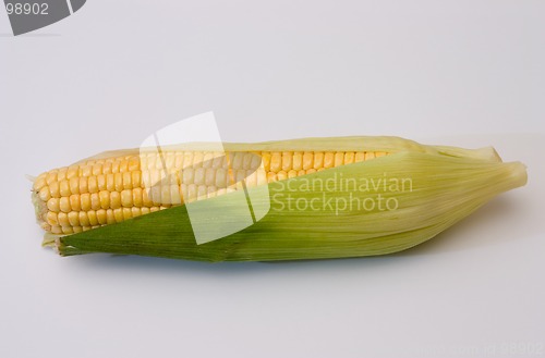 Image of Corn ear