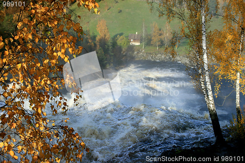 Image of Autumn in Norway