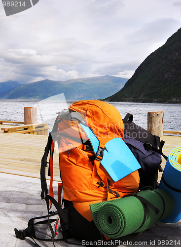 Image of Tourists backpack