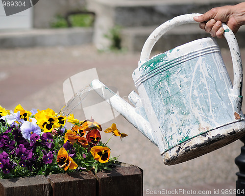 Image of Watering the flowers