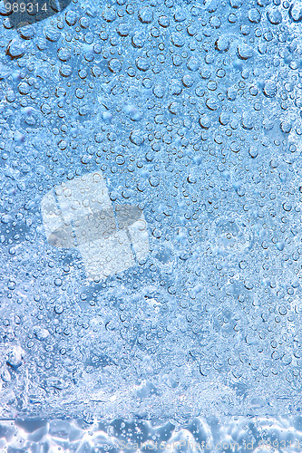 Image of Water bubbles