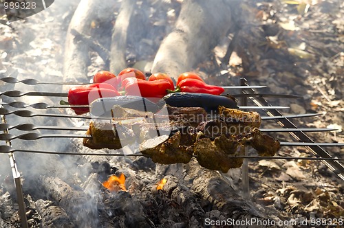 Image of Shashlik