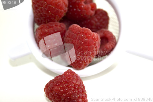 Image of Red Raspberries