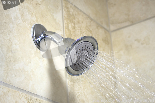 Image of Running Showerhead