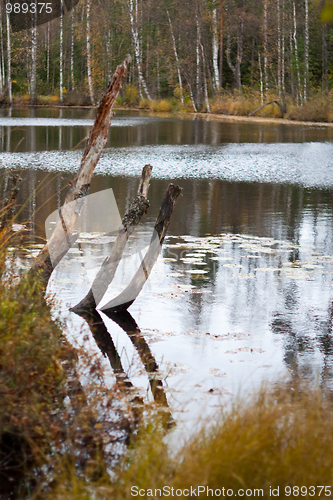 Image of A pond