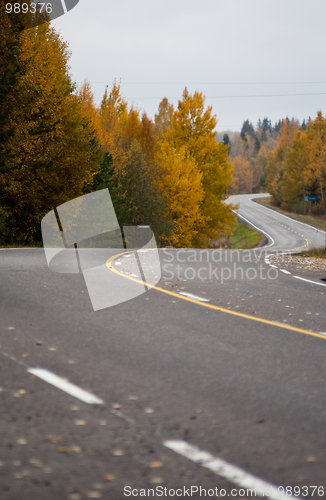 Image of Curvy road