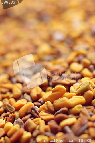 Image of Fenugreek seeds