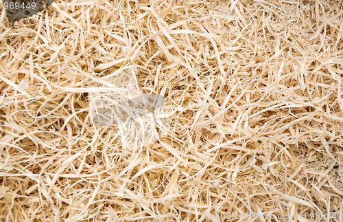 Image of Sawdust