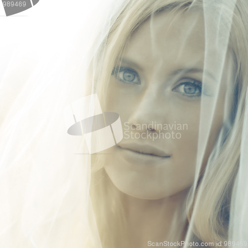 Image of Beautiful bride