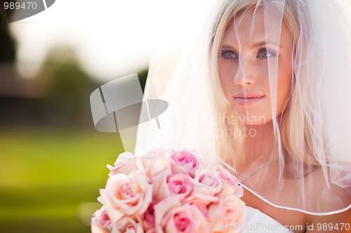 Image of Beautiful bride
