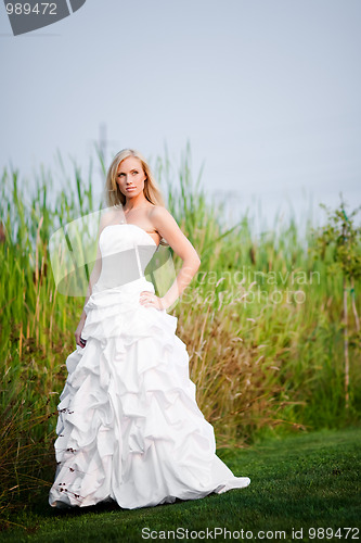 Image of Beautiful bride