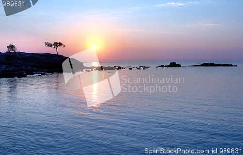 Image of Alone tree at sunset