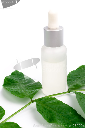 Image of cosmetic products with green leaf 