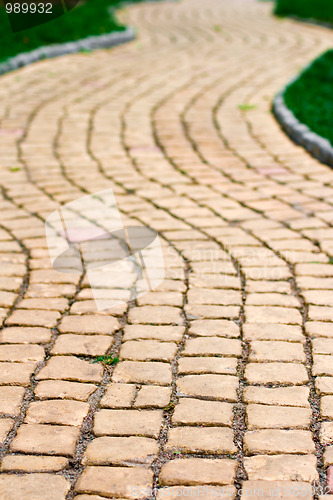 Image of path and green grass 