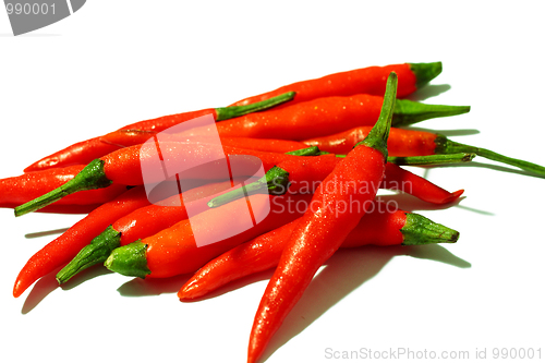 Image of Chili pepper isolated on white background 