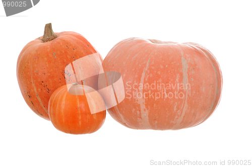 Image of pumpkin