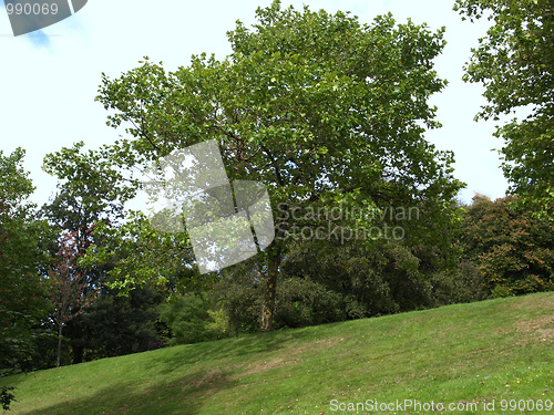 Image of Kelvingrove, Glasgow