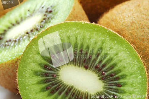 Image of Kiwi