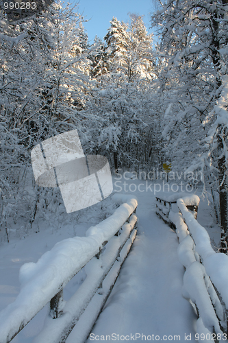 Image of A wooden bridge