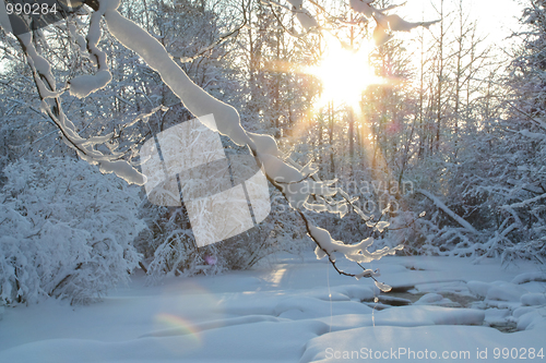 Image of Winter time