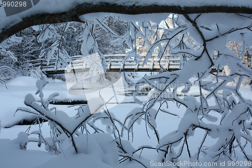 Image of Snovy landscape