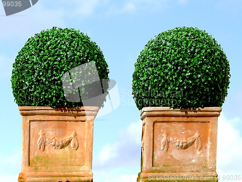 Image of Two decoration trees