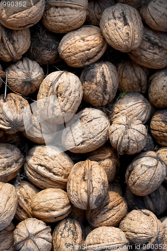 Image of Walnuts